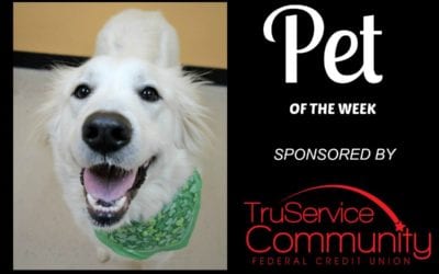 Pet of the Week – Farrah!