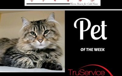 Pet of the Week – Claudia!