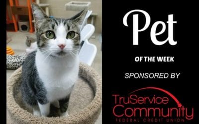 Pet of the Week – Princess!