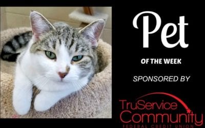 Pet of the Week – Darla!