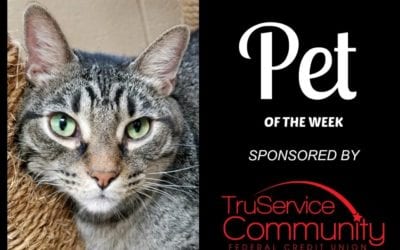 Pet of the Week – Jacko!