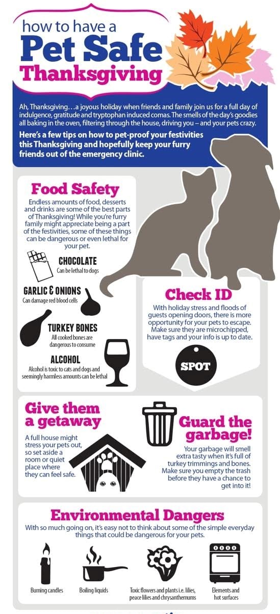 Tips for a pet-safe Thanksgiving