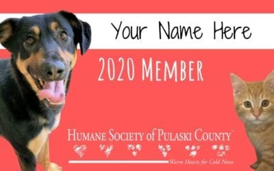 Membership 2020