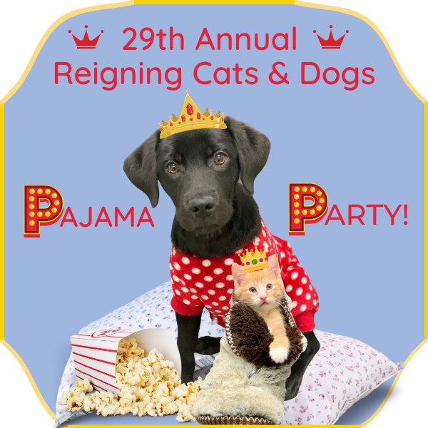 Reigning Cats & Dogs: Pajama Party!