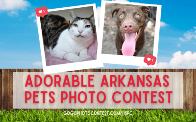 5th Adorable Arkansas Pets Photo Contest