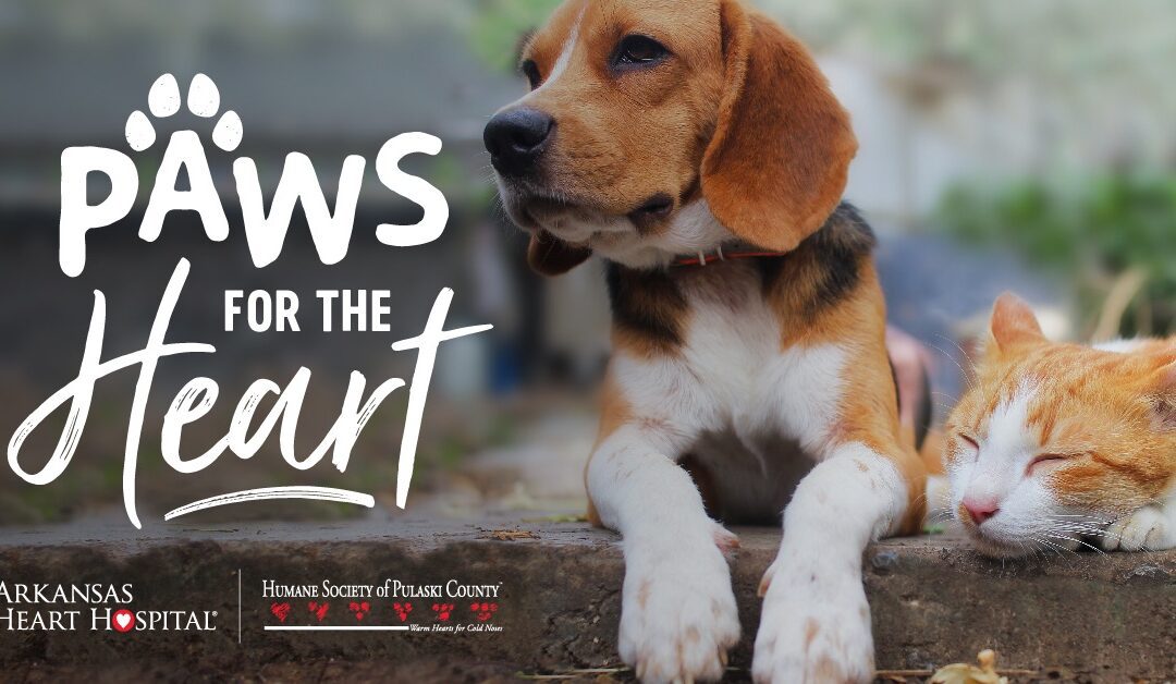 Paws for the Heart
