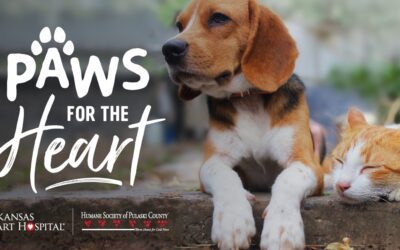 Paws for the Heart